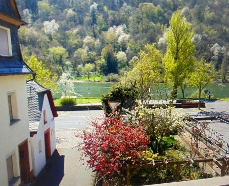 Ferienhaus Moselblick Am Kapellchen Ediger-Eller Exteriér fotografie